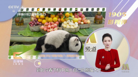 牛牛国产